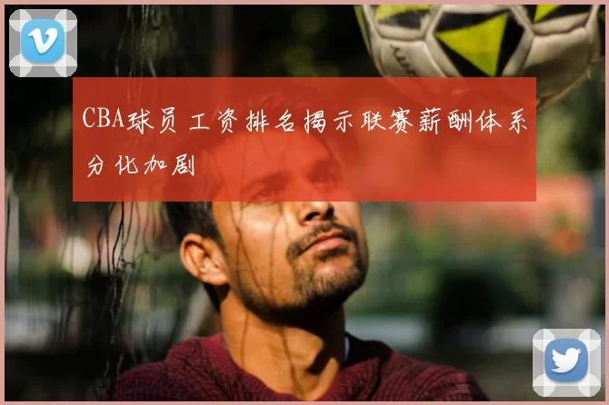 CBA球员工资排名揭示联赛薪酬体系分化加剧