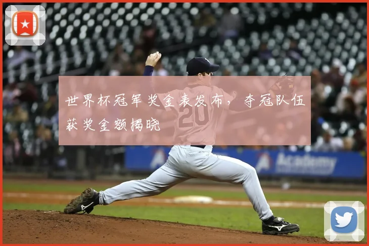 世界杯冠军奖金表发布，夺冠队伍获奖金额揭晓